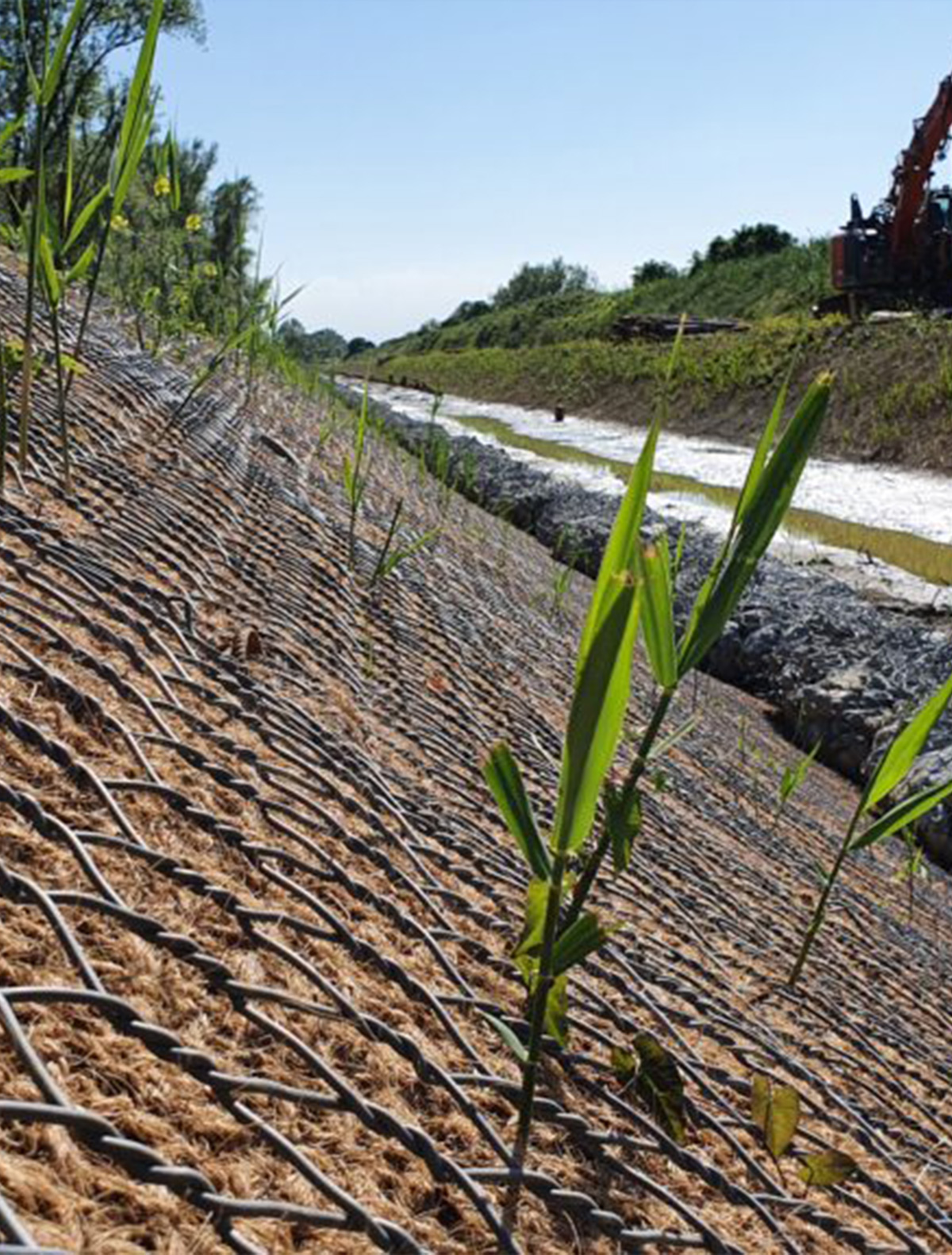 Prodotti antierosione spondale - Renomesh Sicilia Maccaferri
